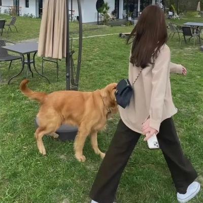 天赐小红娘