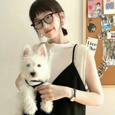 灵书妙探第五季